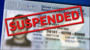 licence Suspension